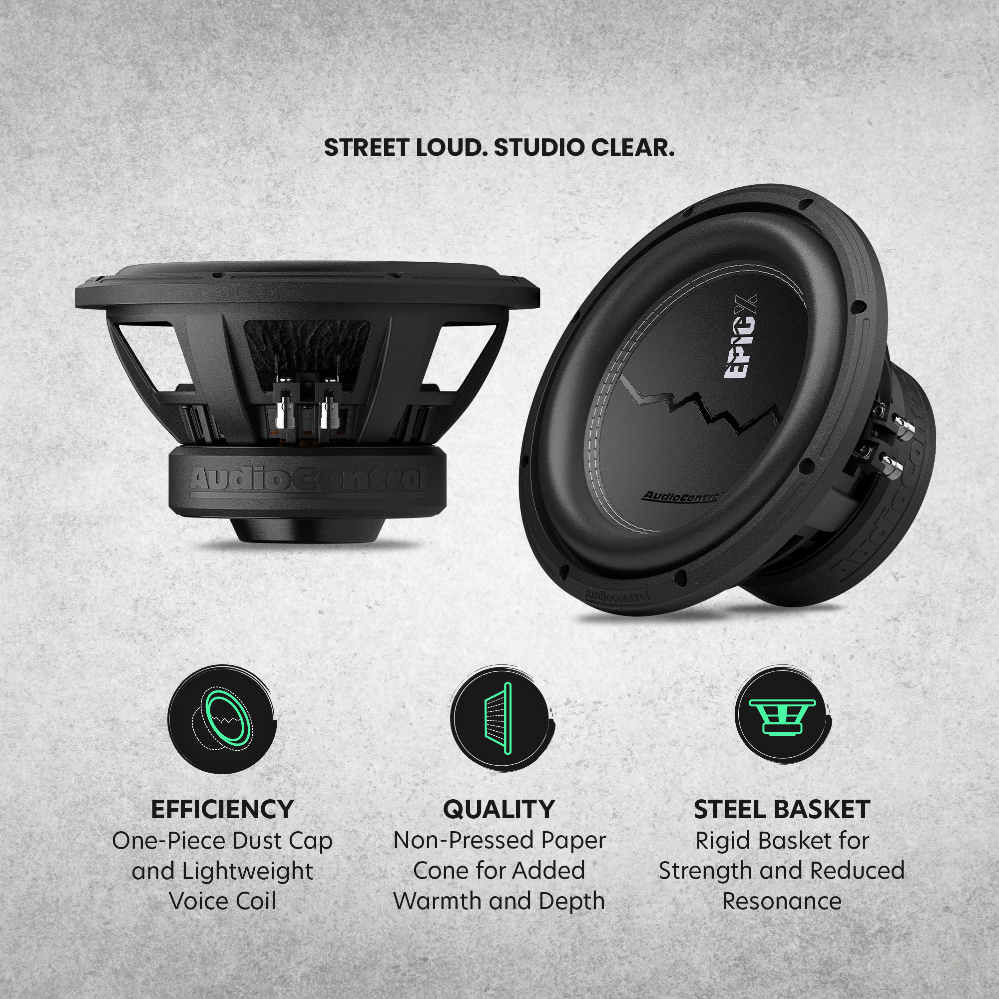 EPICX Series 10" Dual Voice Coil Subwoofer, 500W RMS, Dual 2/4 Ohms