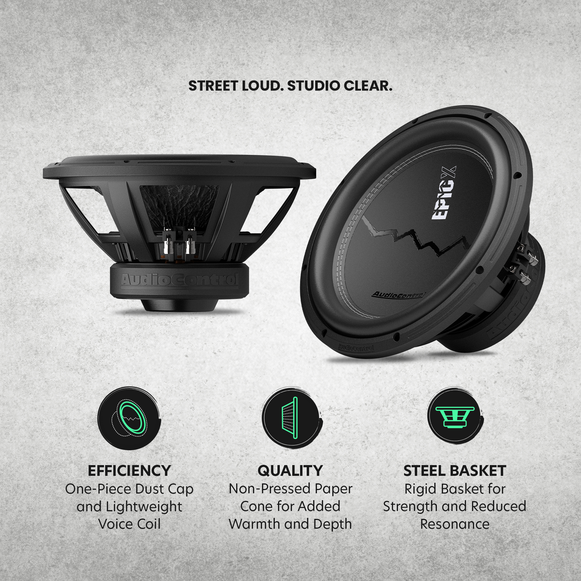 EPICX Series 12" Dual Voice Coil Subwoofer, 500W RMS, Dual 2/4 Ohms