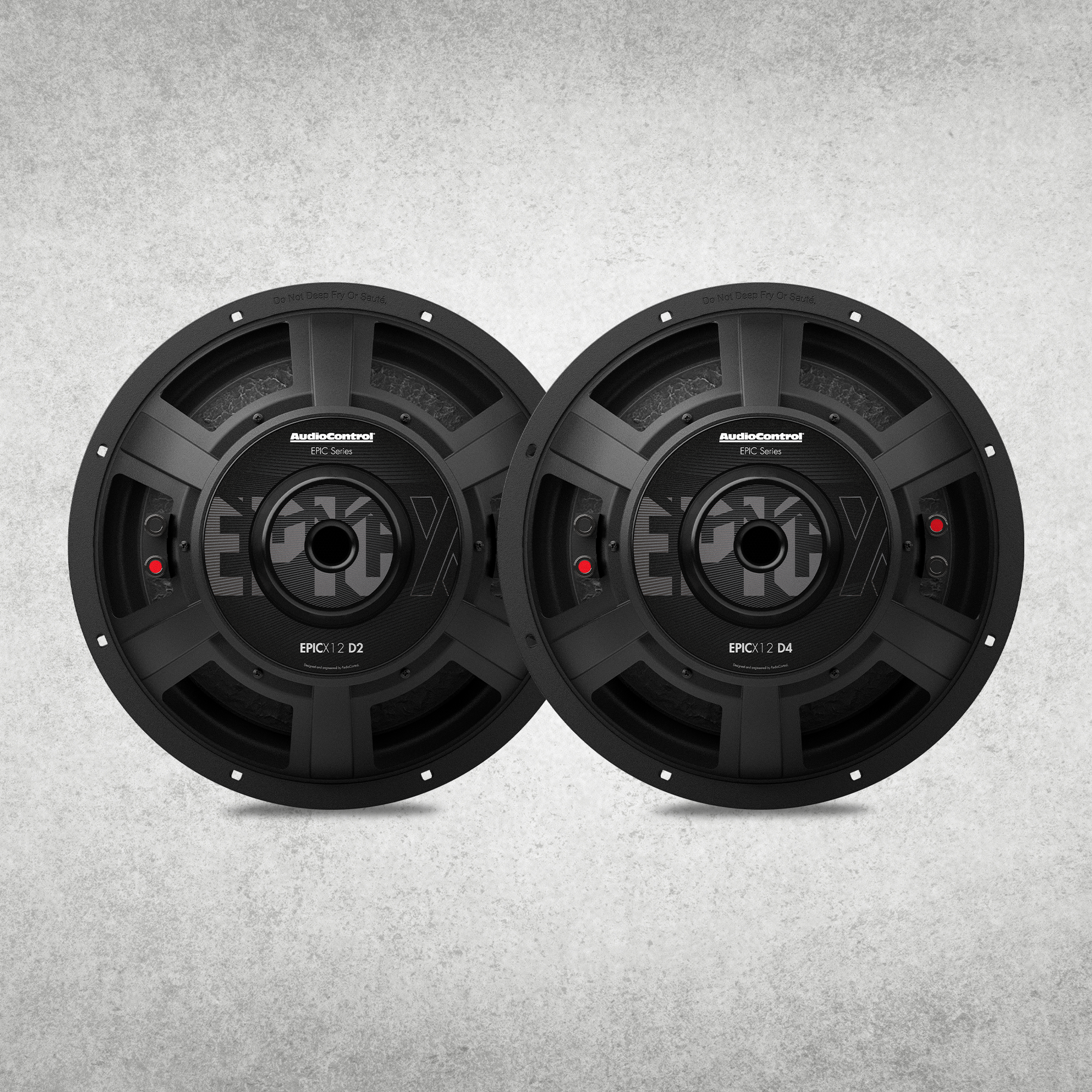 EPICX Series 12" Dual Voice Coil Subwoofer, 500W RMS, Dual 2/4 Ohms